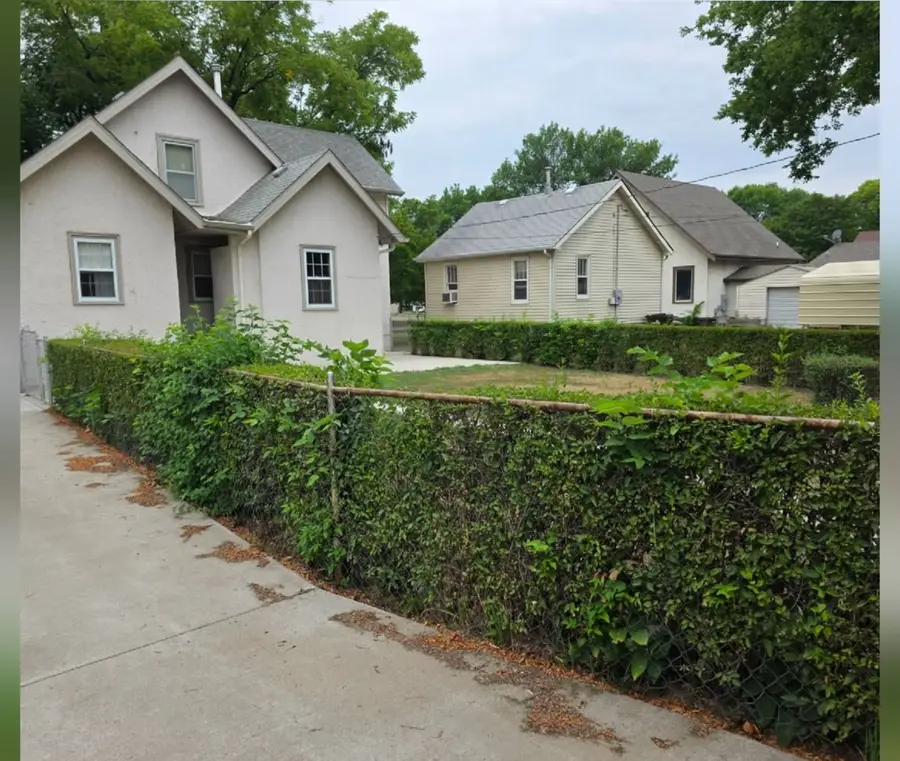 A tall driveway hedge growing shaggy and uneven, before trimming