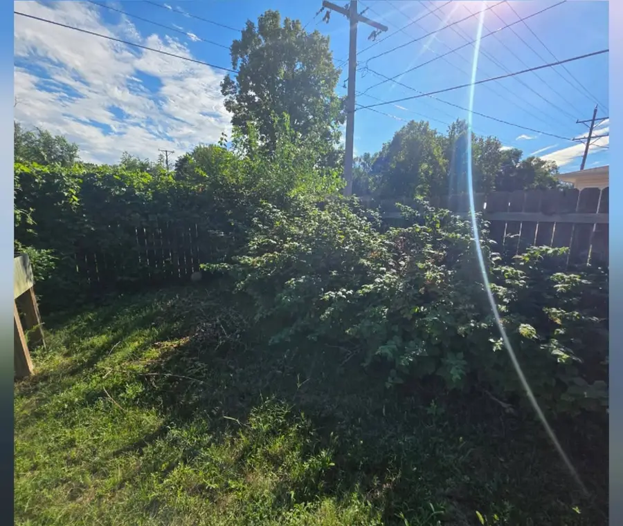 A back fence line swallowed by overgrown brush and weeds, before